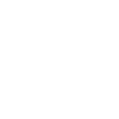 section-services